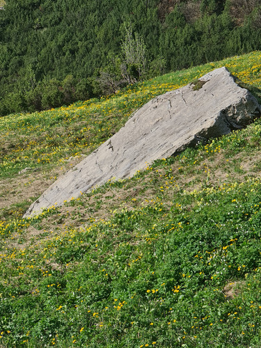 20230529 081956.jpg