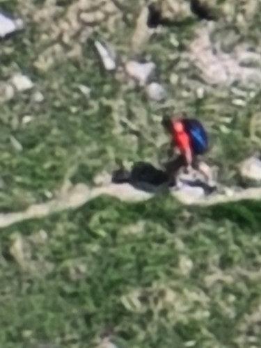20230529 110433.jpg