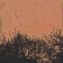 920a0b1c2097.png