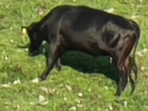 20230529 072856.jpg