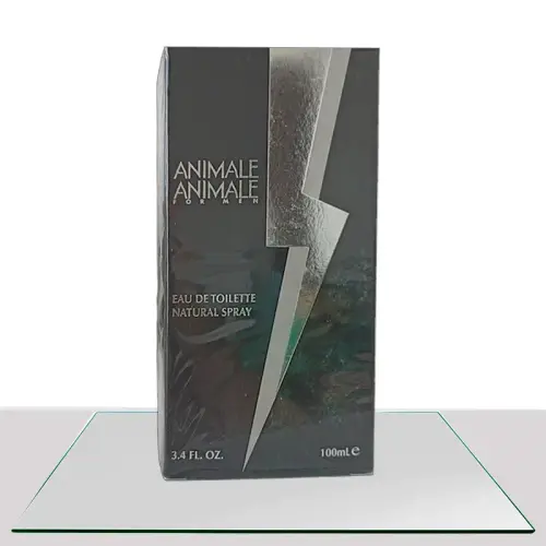 ANIMALE ANIMALE MASCULINO 6.webp