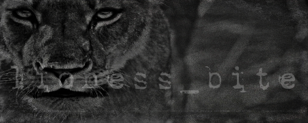 168538057665533259 (1).png