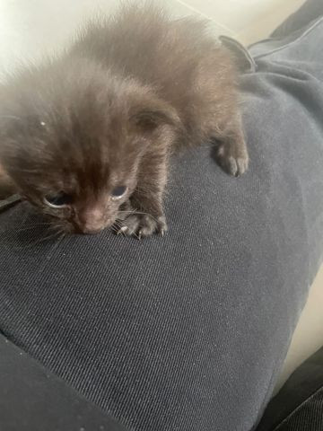 catou.jpg