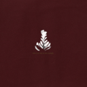 1c49ef74ecd2.png