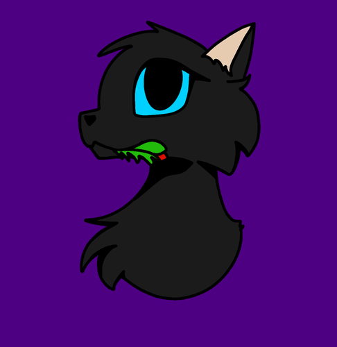 Untitled275 (1).png
