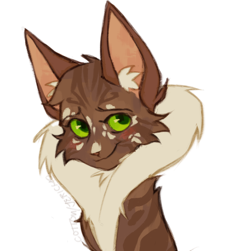 Screenshot 2023 05 01 5.49.16 PM