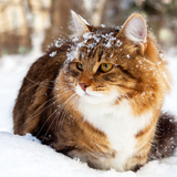 Screenshot 2023 05 03 4.44.10 PM.png