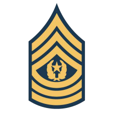 command sergeant major preview rev 1.png