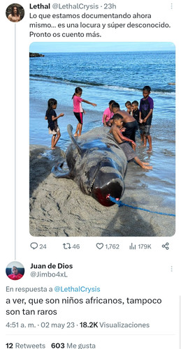 Screenshot 20230502 082206 Twitter.jpg