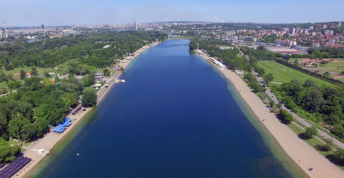 ada ciganlija flora i fauna.jpg