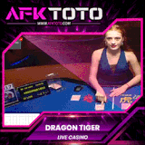 dargon tiger.gif