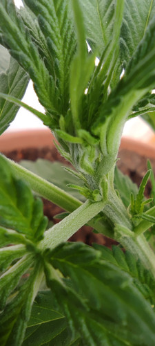 IMG 20230528 120117.jpg