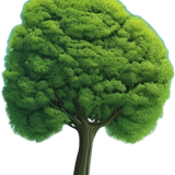 tree r.png