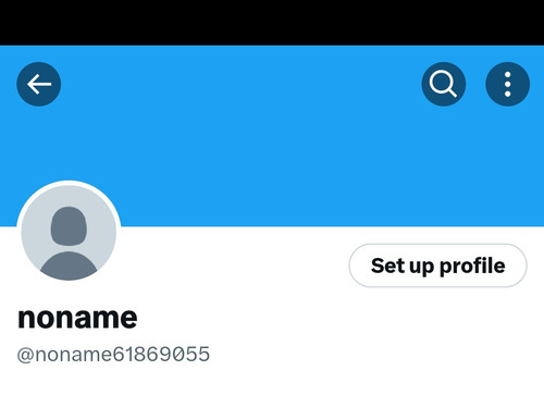Screenshot 2023 05 31 03 06 20 552 edit com.twitter.android.jpg