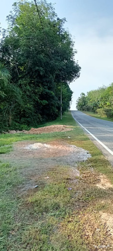lui selatan.jpg