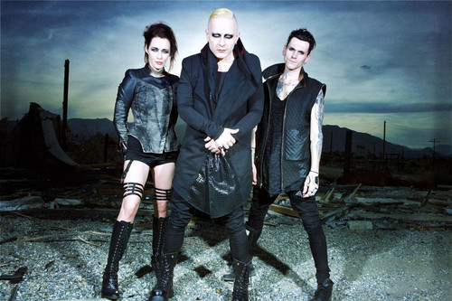 Skold.jpg