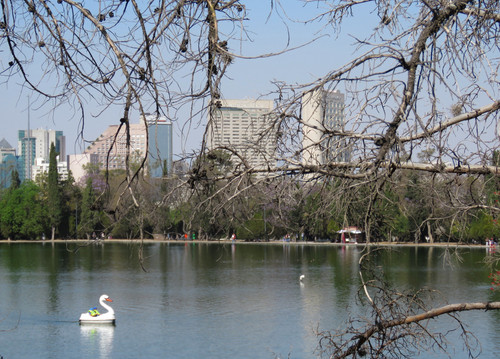 52673673091 f0b4c4eb7b 4k.jpg