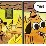 this is fine custom dcb93e90c4e1548ffb16978a5a8d182270c872a9 s1100 c50