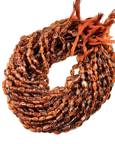 tm.1 140 11zon PhotoRoom.png PhotoRoom.png