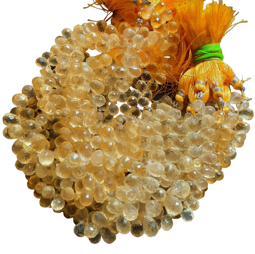 pm.1 79 11zon PhotoRoom.png PhotoRoom.png