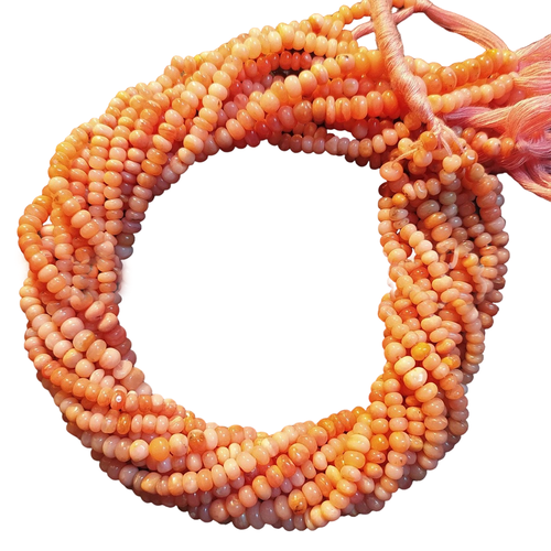 lz.1 56 11zon PhotoRoom.png PhotoRoom.png