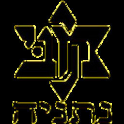 Maccabi Natanya old no bg (1).jpg