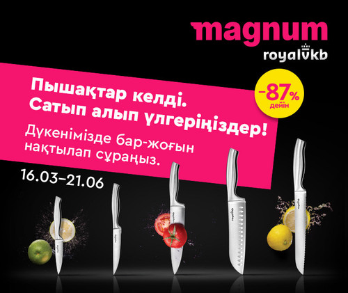 web Knife 760х640(380х320) kz.jpg