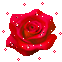 rosa vermelha (1).gif