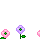 flores abelha
