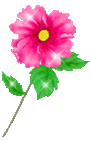 flor rosa.gif
