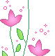 flores8
