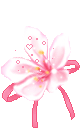 flor (4).gif