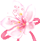 flor (4)