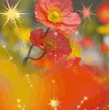 d18d09dffee1c68ff159d1d28a68c247.gif