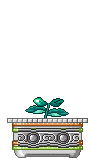 flores2X.gif