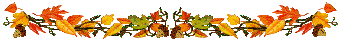 blatt u 50.gif