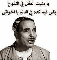 10731164 10152860684879726 1665738821945854254 n.jpg