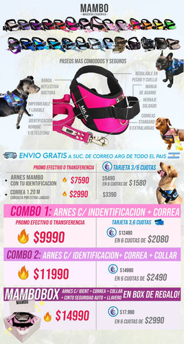NUEVA PAGINA LINK MAMBO.jpg