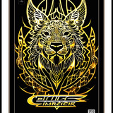 wonder 1685563050394 copy 2