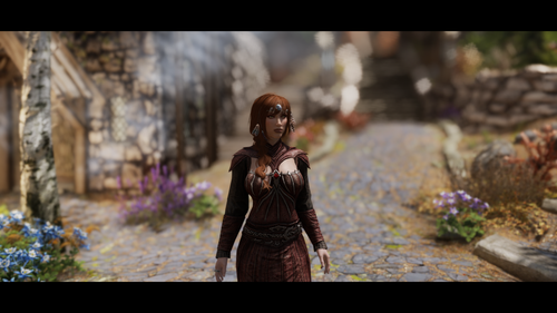 Dalania Whiterun.png