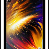 wonder 1685554765401 copy 2