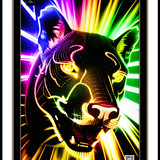 wonder 1685558380614 copy 2