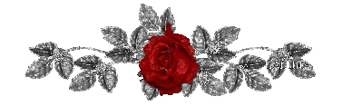w0viidjfo37.gif