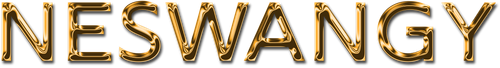 NESWANGY@2x (1).png