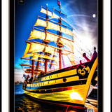 wonder 1685560671116 copy 2