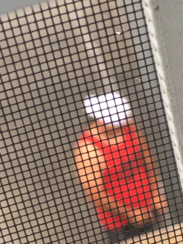 IMG 4683.jpg