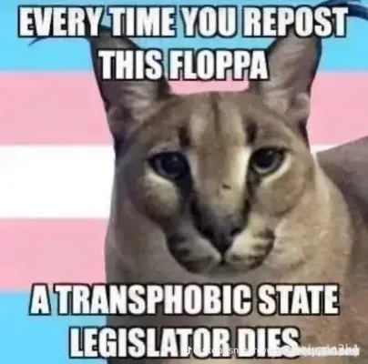 E39D1F72 0080 433F B9D5 AF0FE3EEC416.png