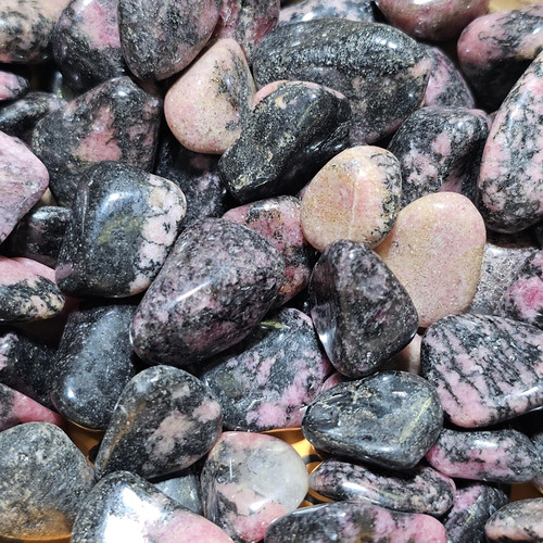 cropped 1685409682876698448512414717554.jpg