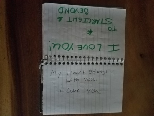 1685415571361.jpg