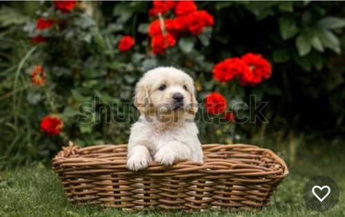 tempFileForShare 20230530 100500.jpg